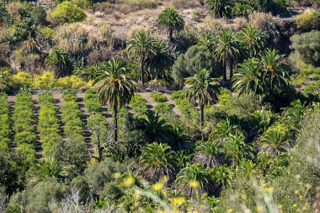 Dunaflor Verde Active & Chill Bungalow Maspalomas  Exteriér fotografie